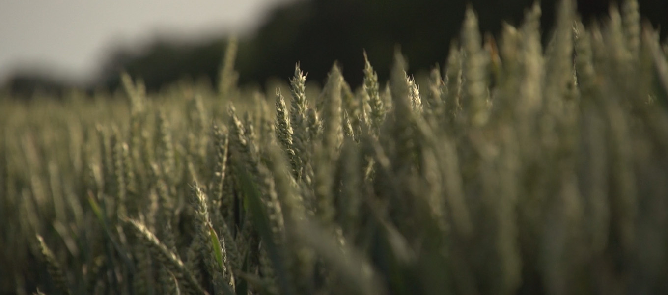 Our Foundation Banner