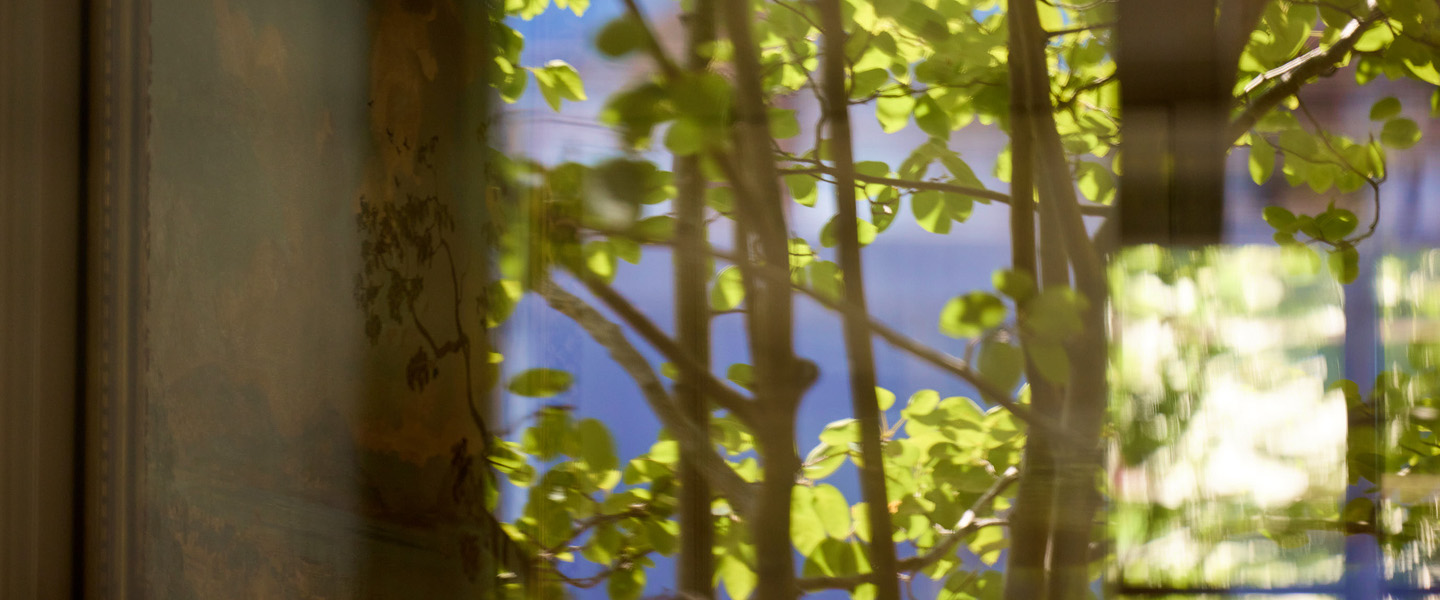 Sustainability Banner